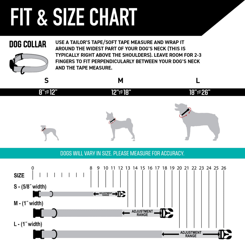 Dog Collar product image 4