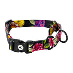 Martingale Dog Collar product image 1