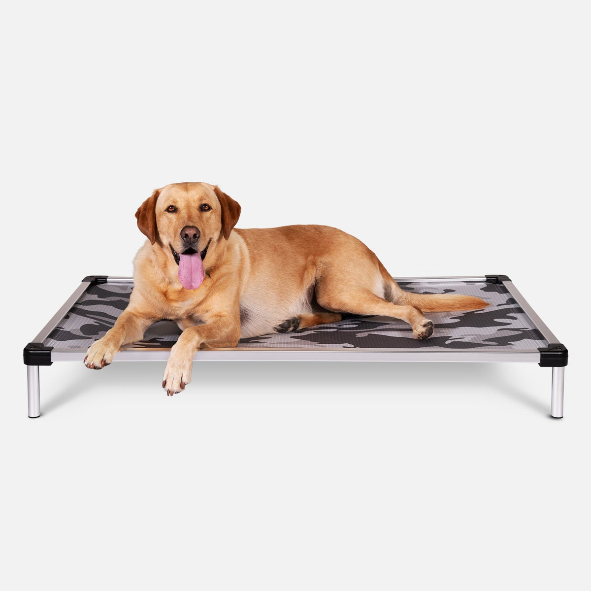 Elevated Dog Bed product image 19