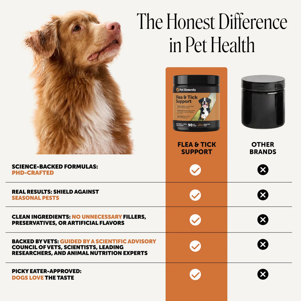 Flea + Tick Support for Dogs (Bacon Flavor) product image 5