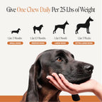 Flea + Tick Support for Dogs (Bacon Flavor) product image 6