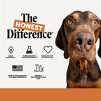 Flea + Tick Support for Dogs (Bacon Flavor) product image 8