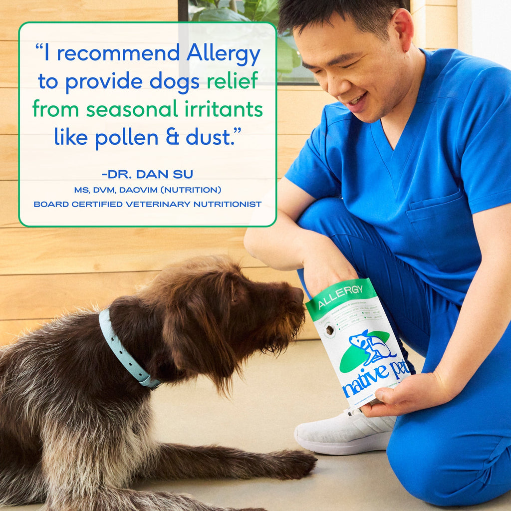Native Pet Allergy Chews for Dogs - Expert Testimonial