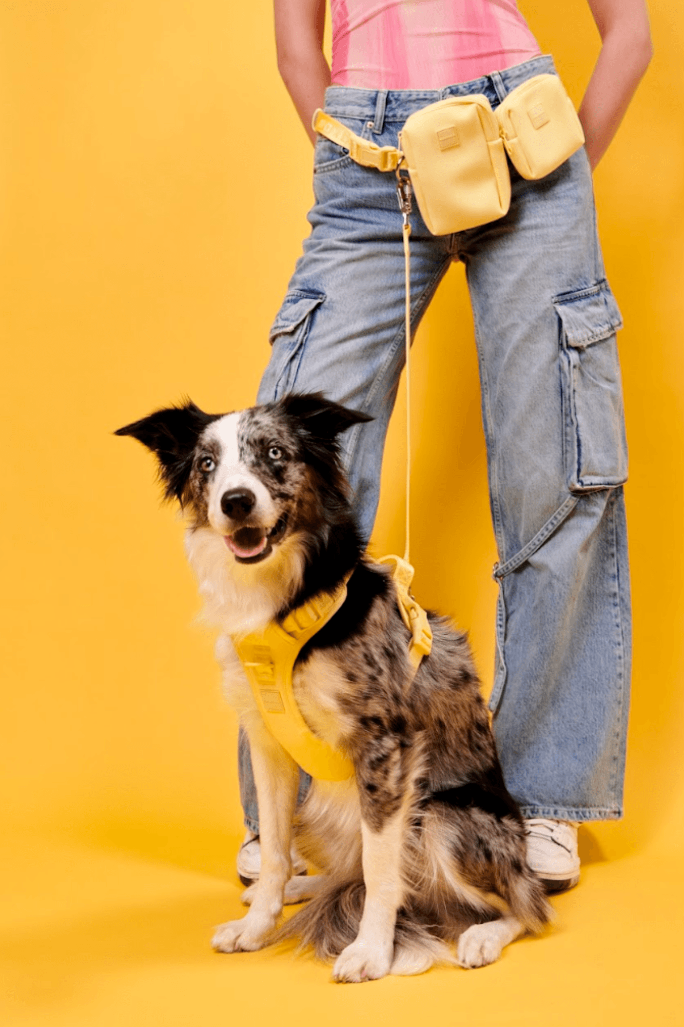 color: yellow