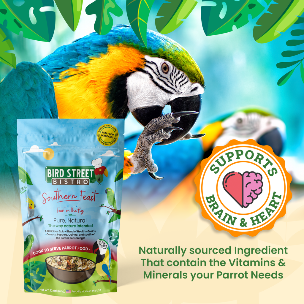Parrot Food Mix product image 8