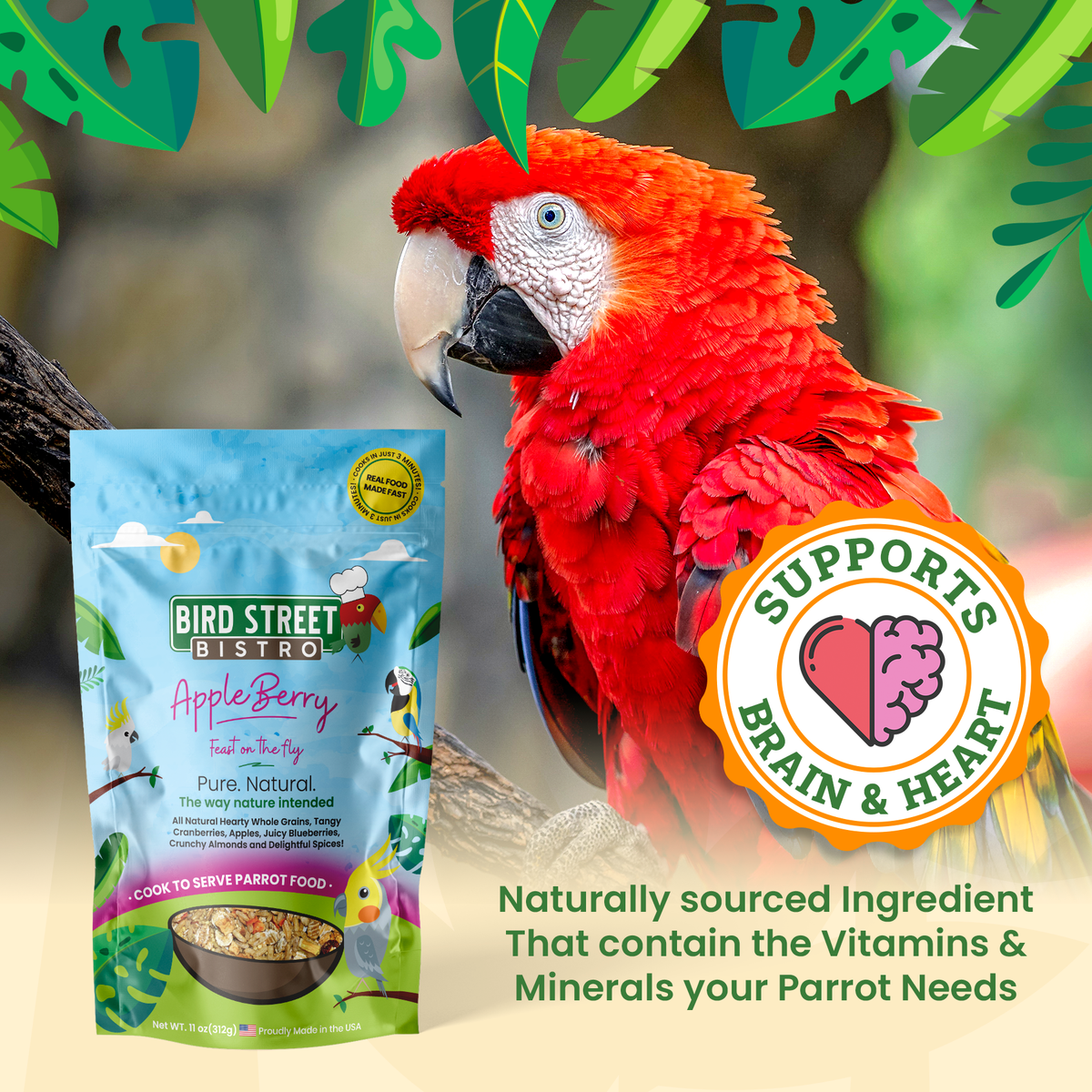 AppleBerry Parrot Food product image 3