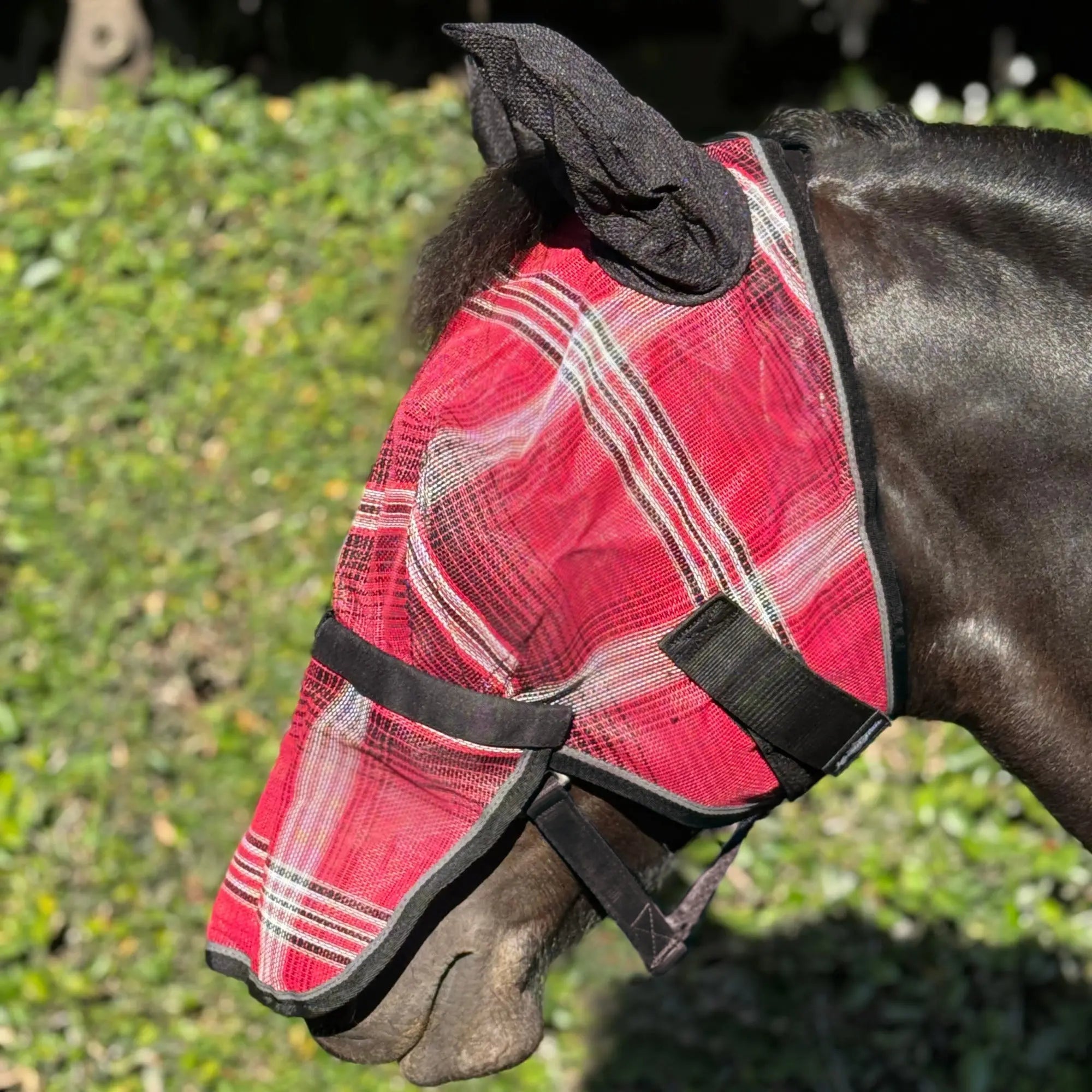 Horse Fly Mask product image 2