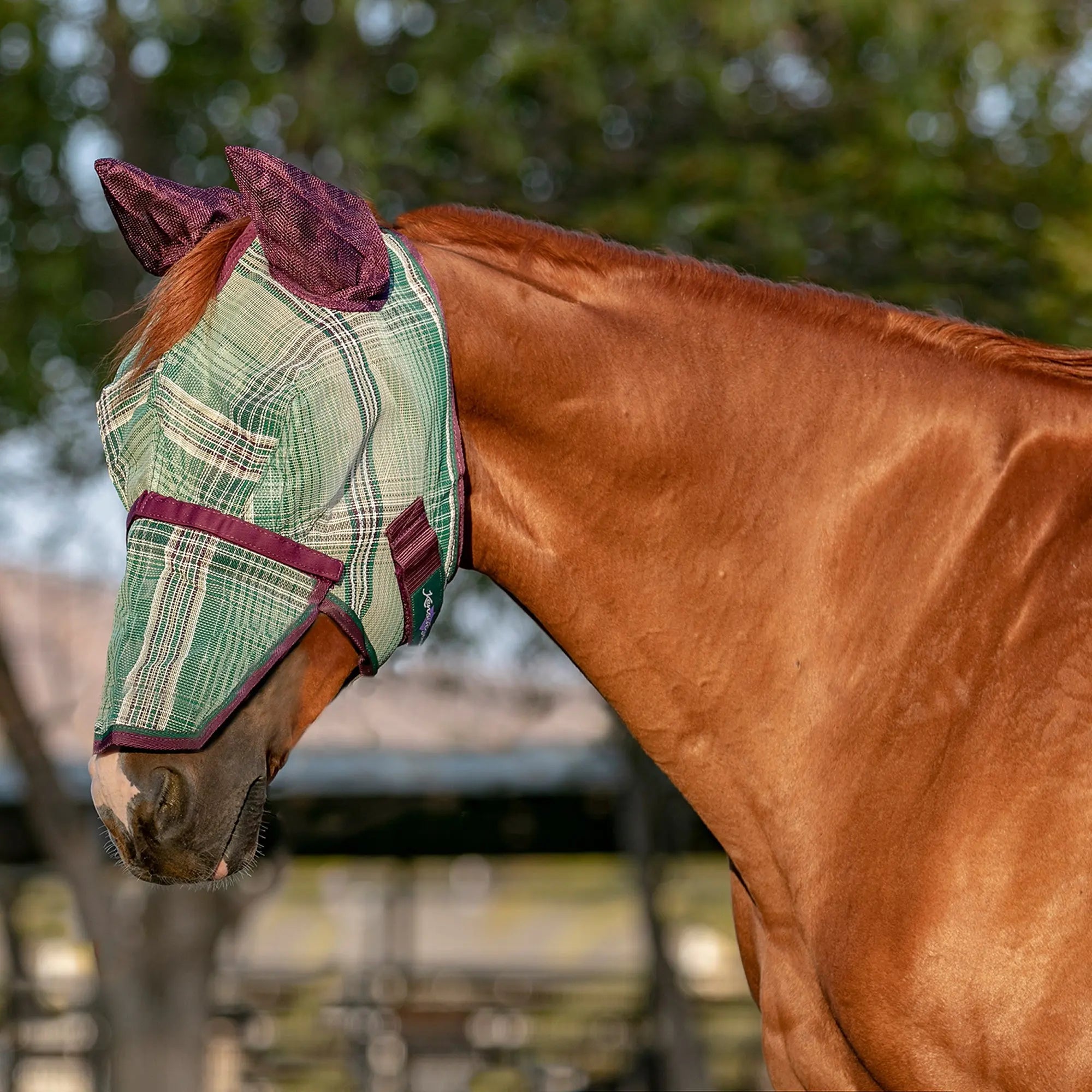 Horse Fly Mask product image 5