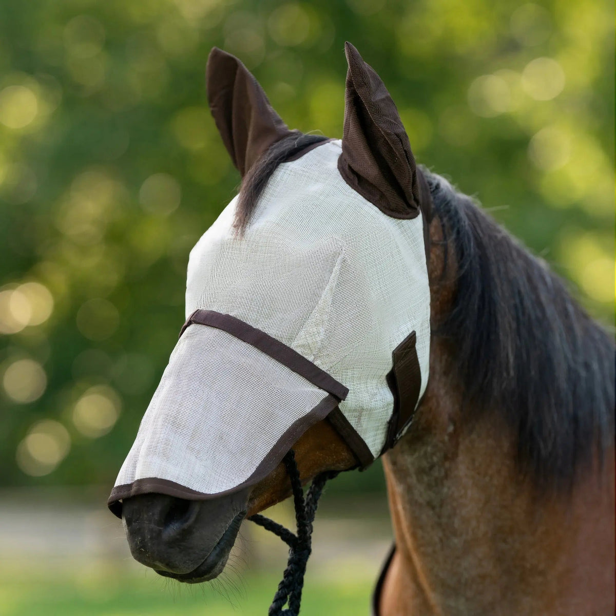 Horse Fly Mask product image 15