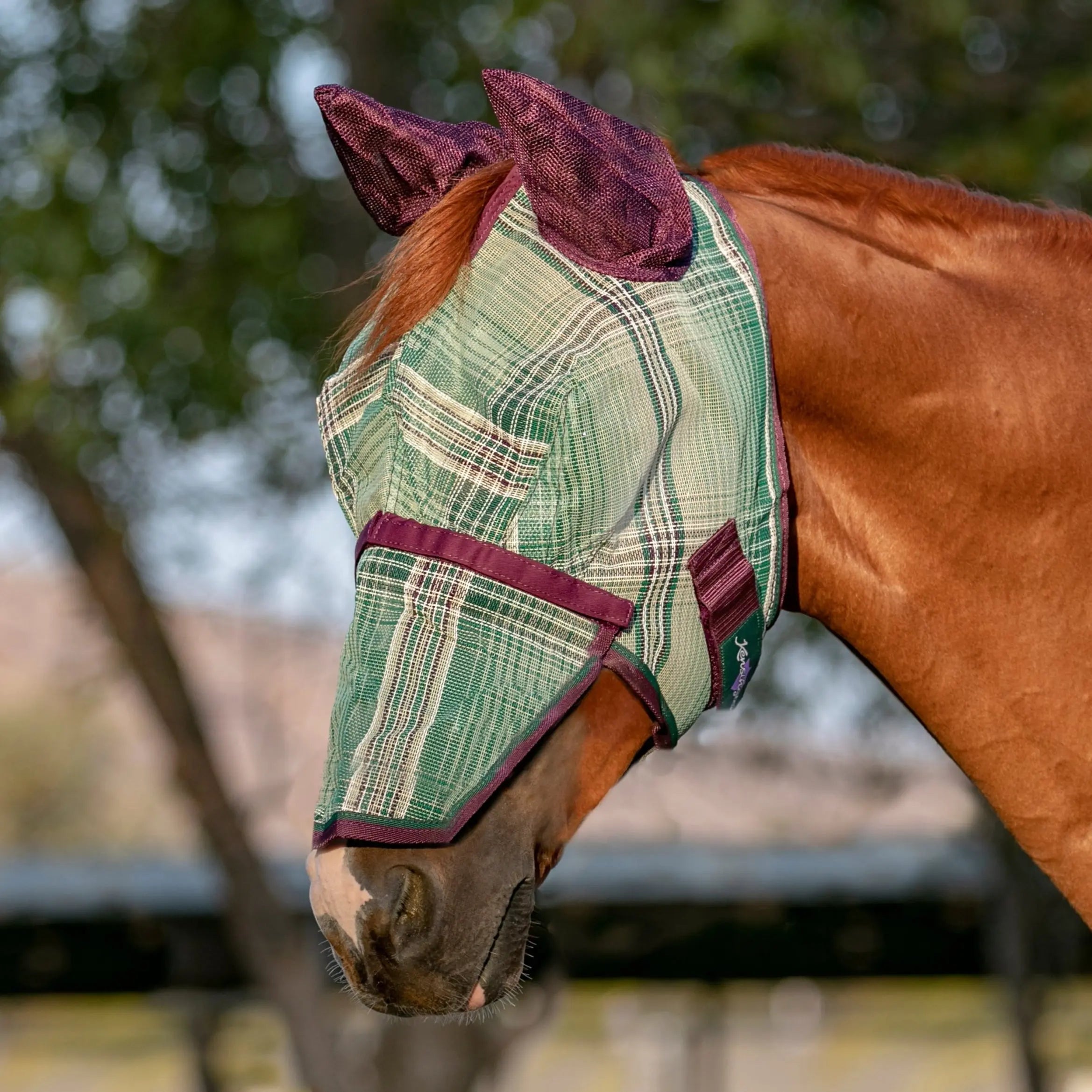 Horse Fly Mask product image 17