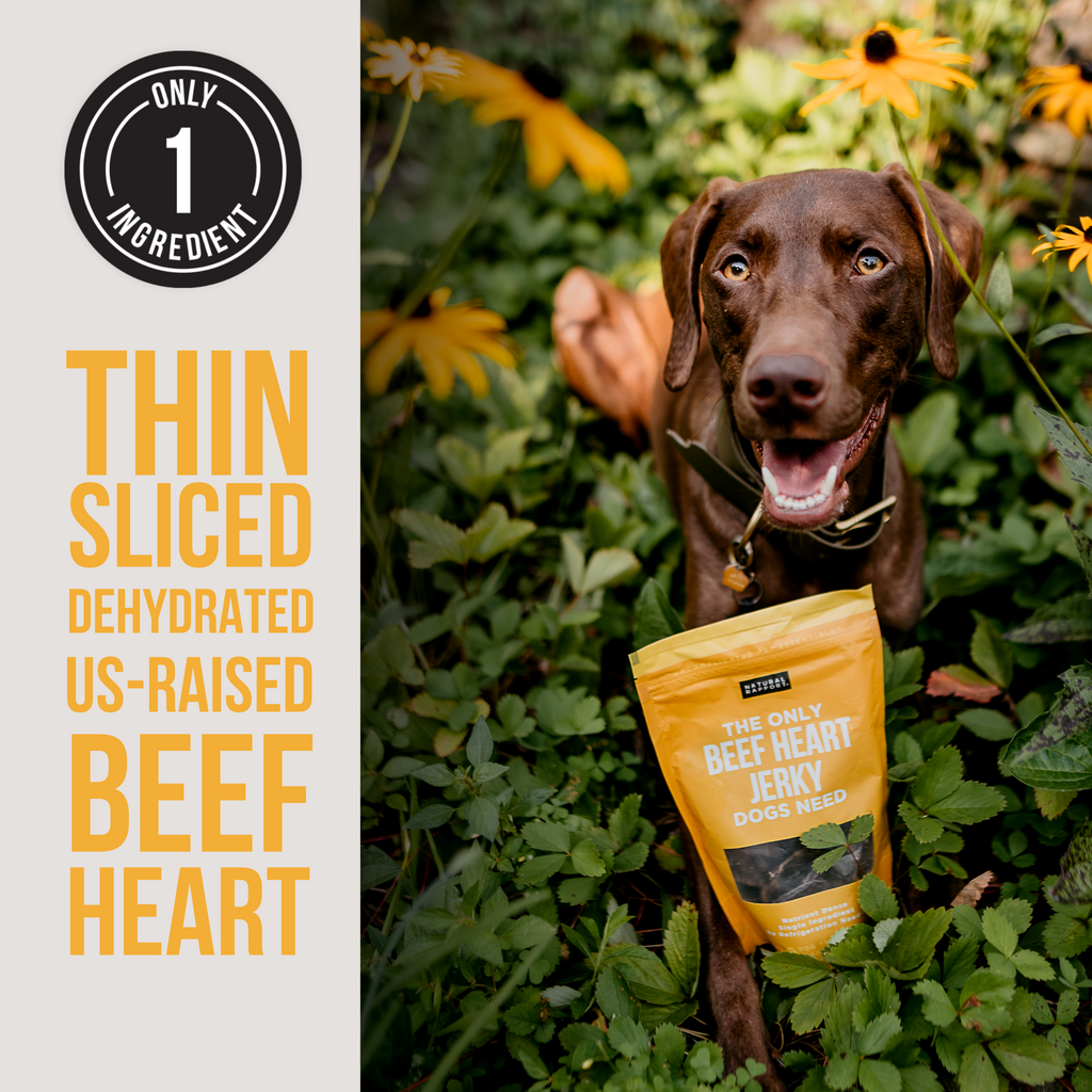 Dehydrated Beef Heart Dog Treats product image 3