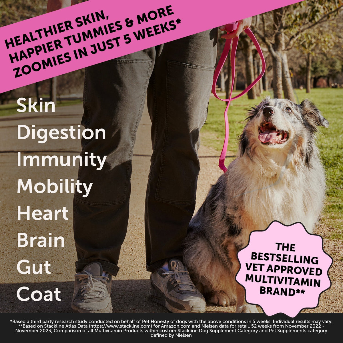 Dog Multivitamin product image 2