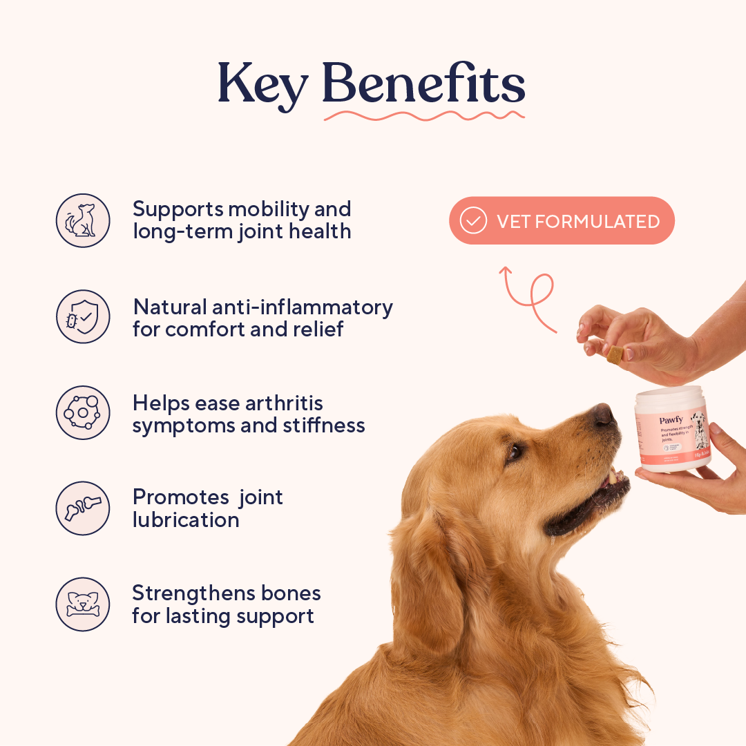 Dog Hip and Joint Soft Chews product image 3