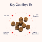 Dog Hip and Joint Soft Chews product image 4