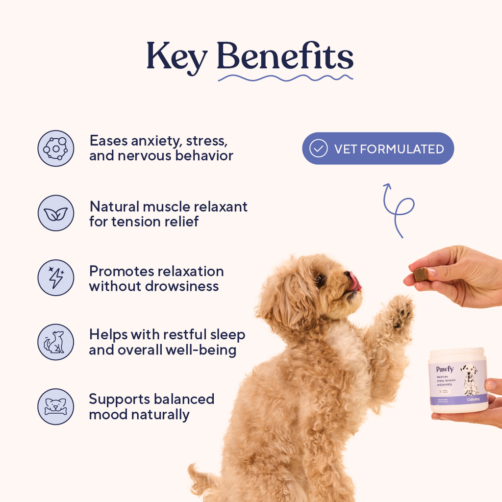 Turkey Flavored Calming Chews for Dogs product image 3