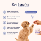 Turkey Flavored Calming Chews for Dogs product image 3