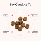 Turkey Flavored Calming Chews for Dogs product image 4