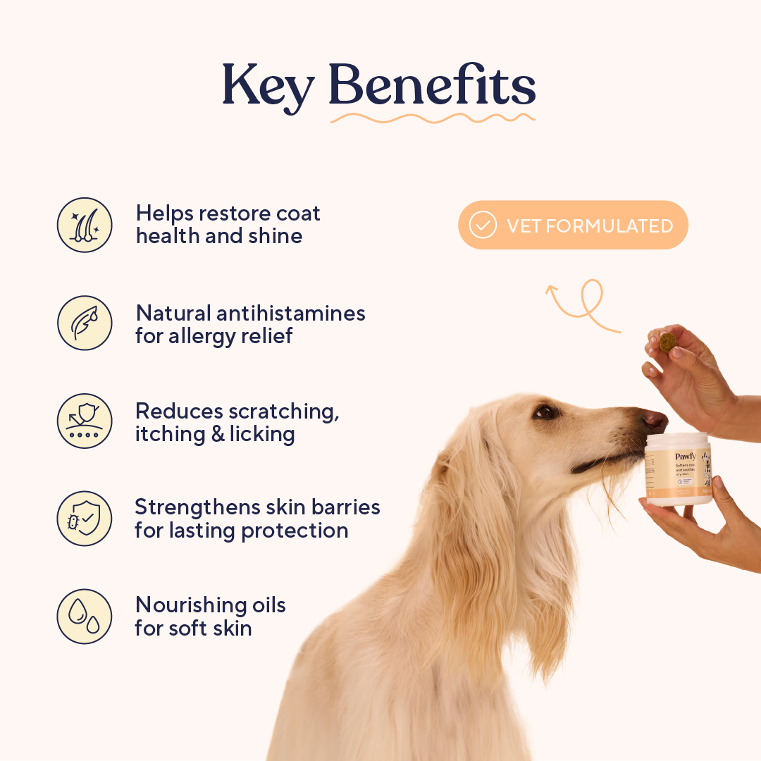 Dog Skin and Coat Support Chews product image 3