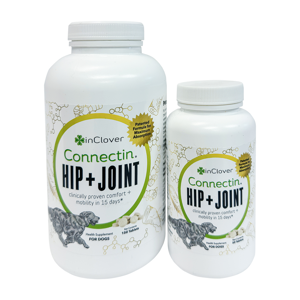 Dog Joint Supplement product image 1