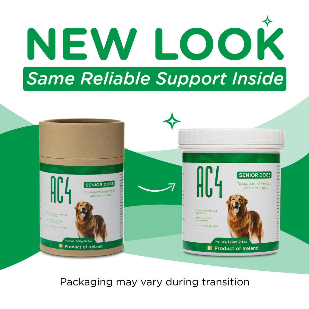 Senior Dog Supplement product image 2