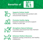 Senior Dog Supplement product image 3