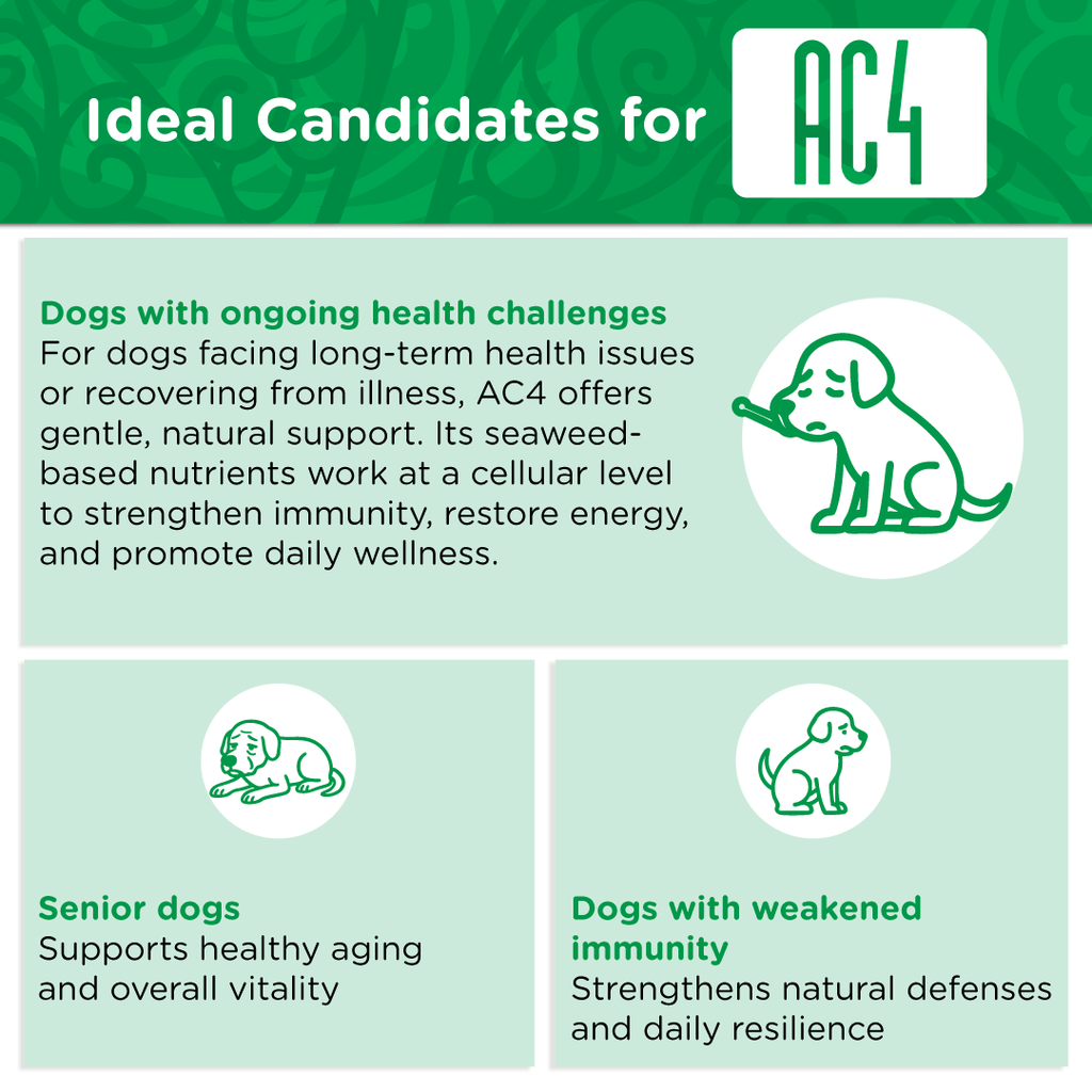Senior Dog Supplement product image 8