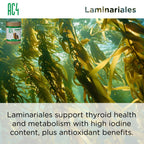 Senior Dog Supplement product image 14