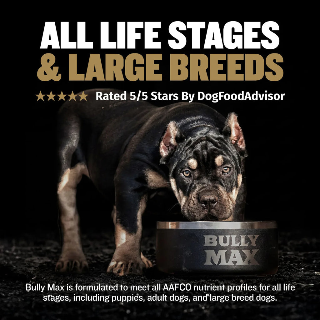High Calorie Protein Performance Dog Food product image 2