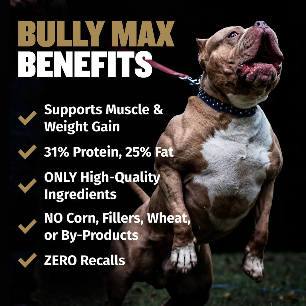 High Calorie Protein Performance Dog Food product image 4