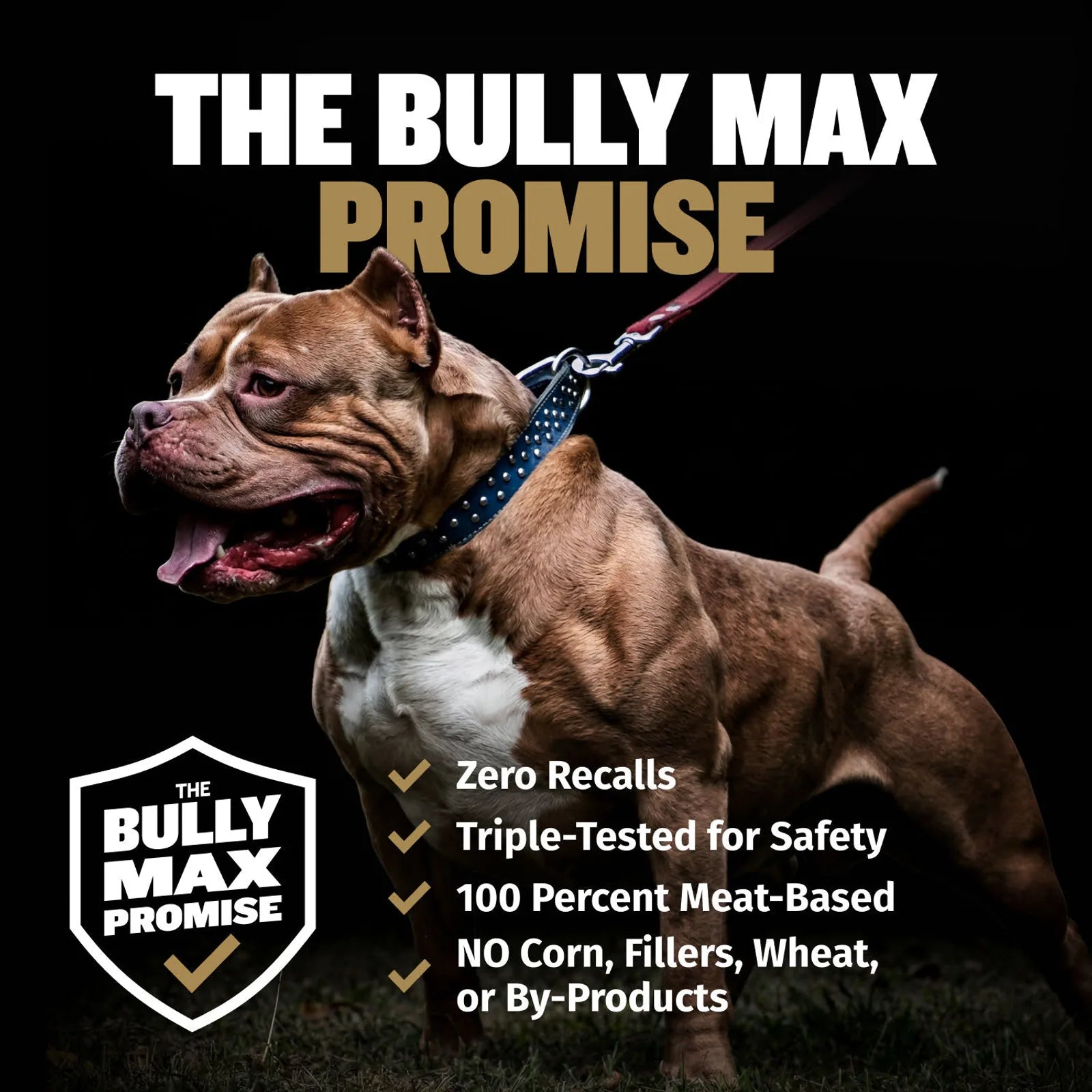 High Calorie Protein Performance Dog Food product image 8