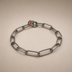 Long Link Dog Collar product image 1