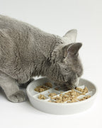 Porcelain Slow Feeder Cat Bowl product image 1