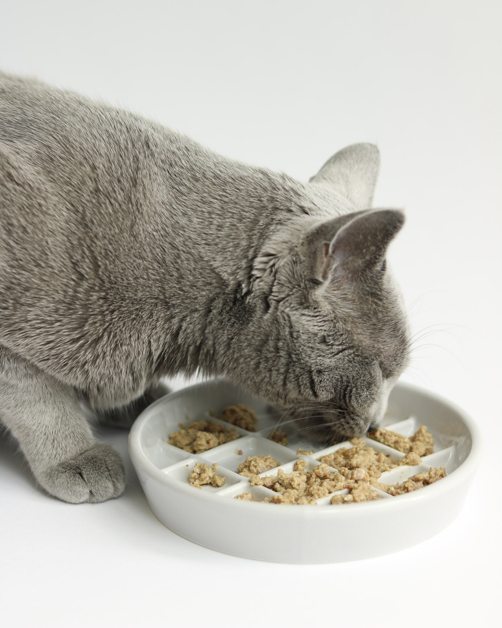 Porcelain Slow Feeder Cat Bowl product image 1