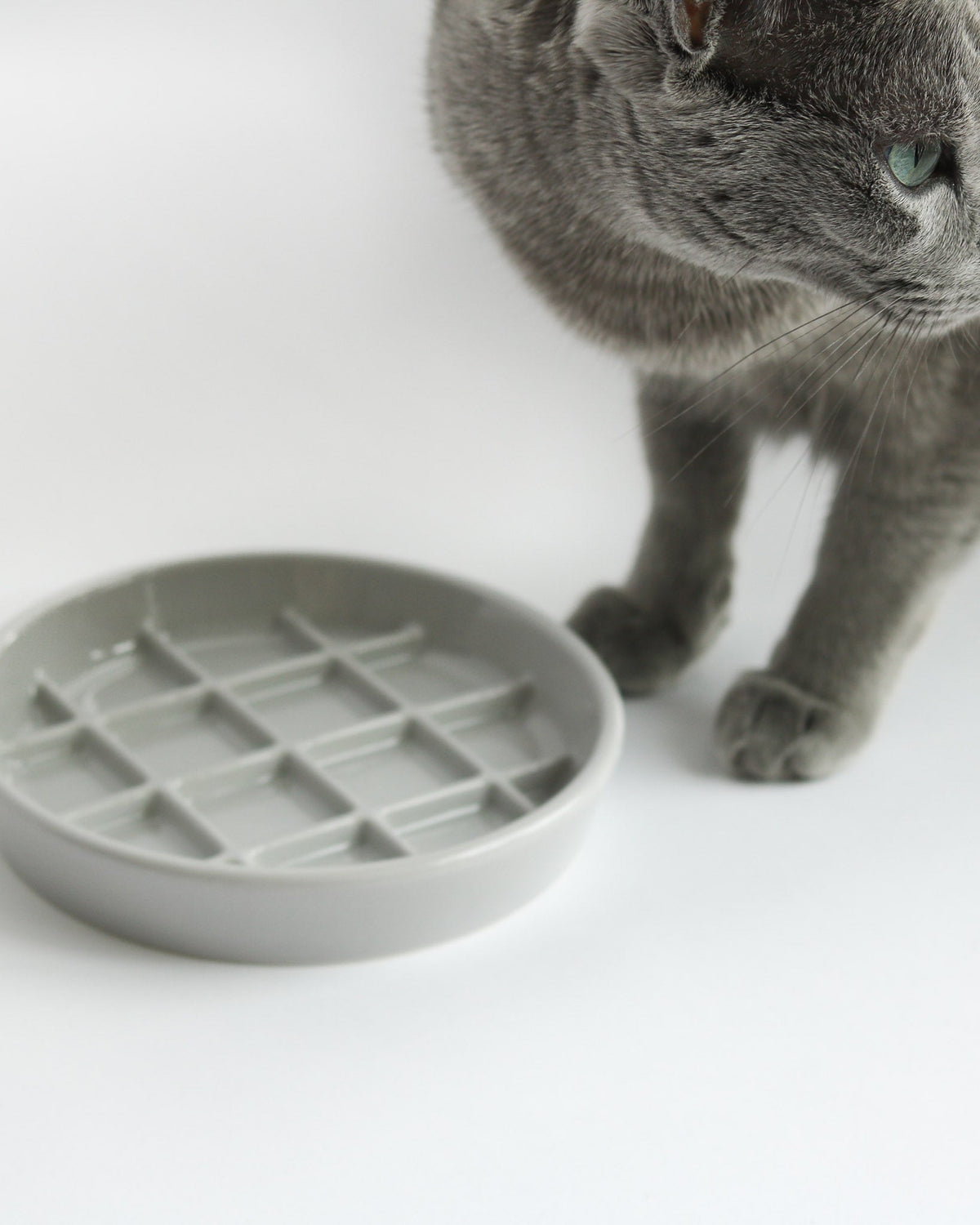 Porcelain Slow Feeder Cat Bowl product image 7