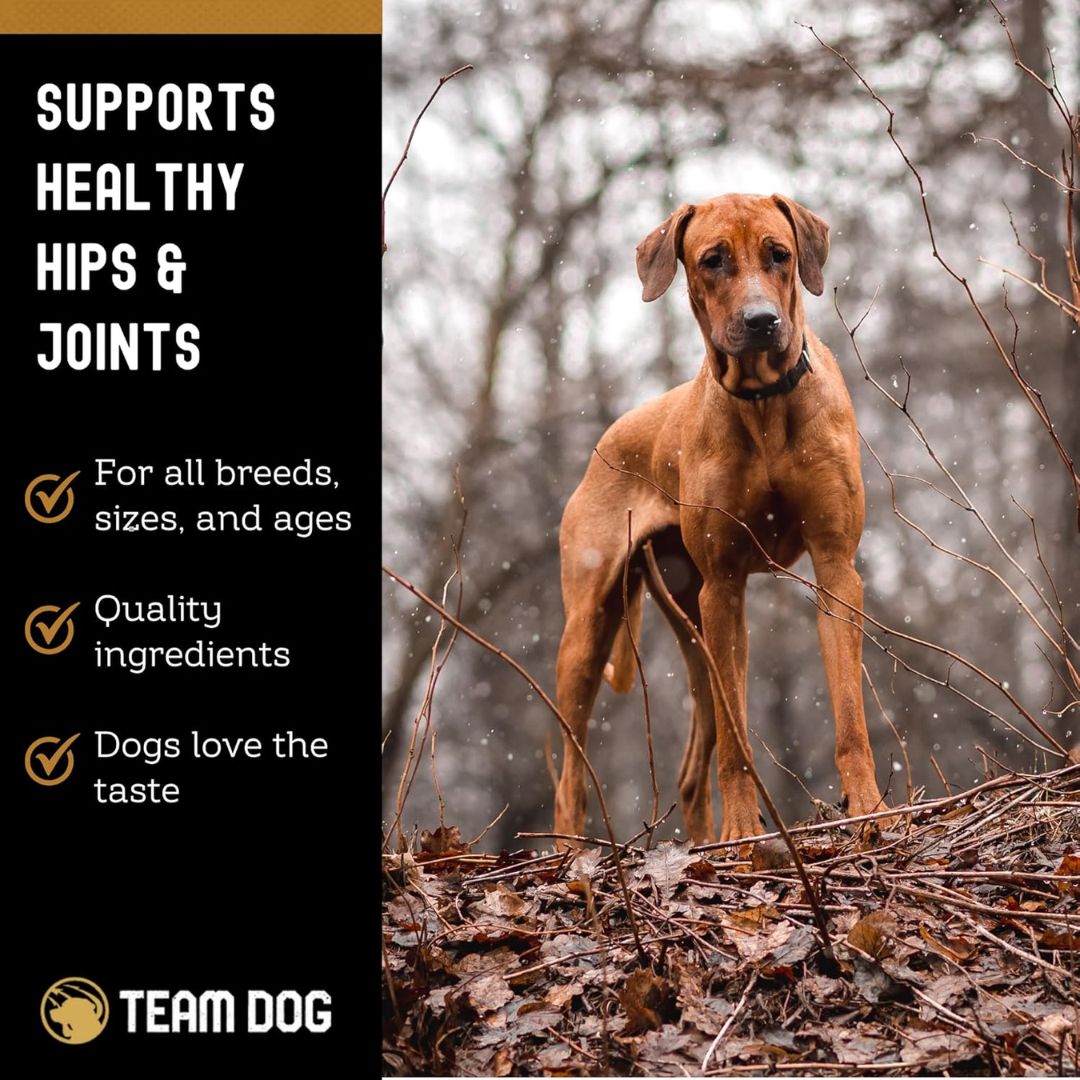 Hip & Joint Soft Chews, 120 ct product image 6