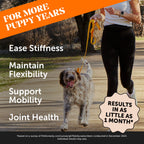 Chicken Dog Hip and Joint Soft Chews product image 2