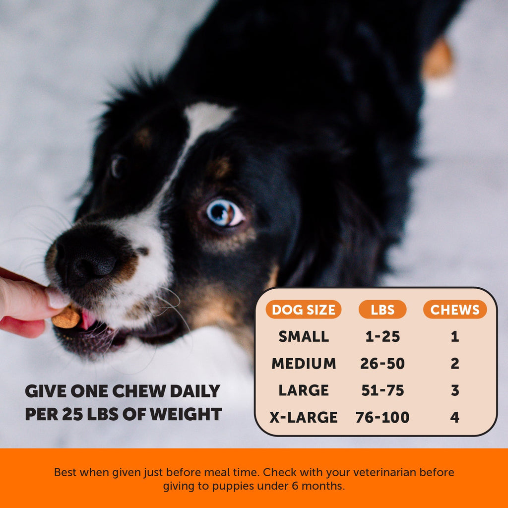 Chicken Dog Hip and Joint Soft Chews product image 6