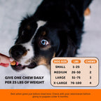Chicken Dog Hip and Joint Soft Chews product image 6