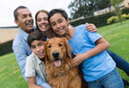 Rechargeable Electric Dog Fence System product image 24