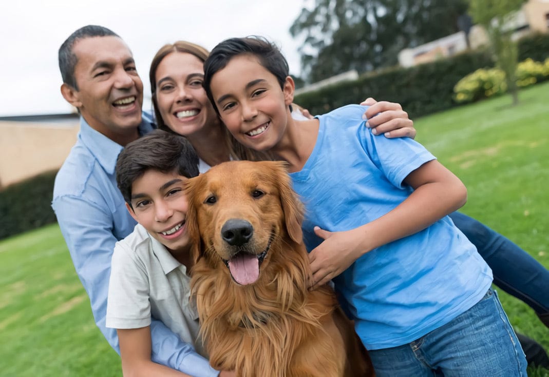 Rechargeable Electric Dog Fence System product image 24