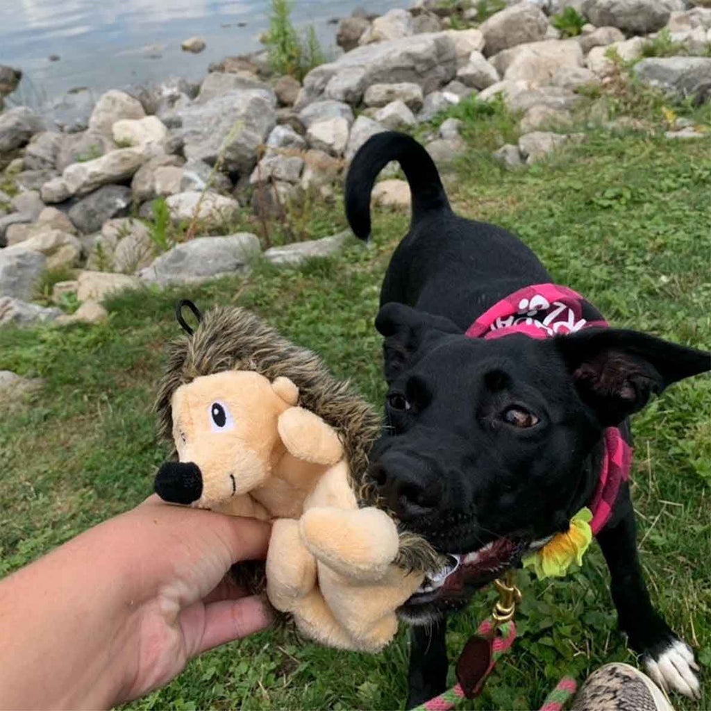 Plush Dog Toy product image 3