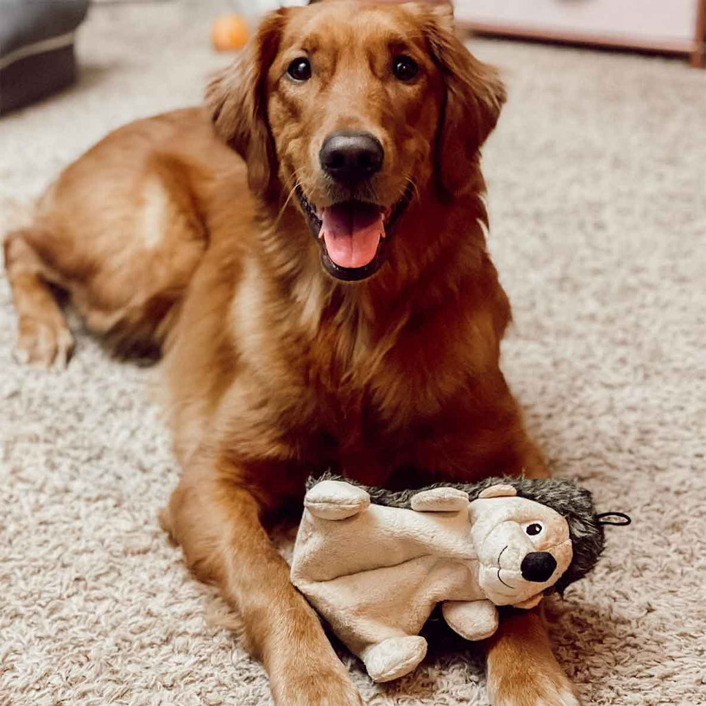 Plush Dog Toy product image 5
