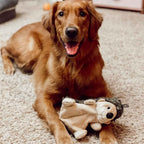 Plush Dog Toy product image 5