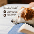 Pet Calming Chews product image 4