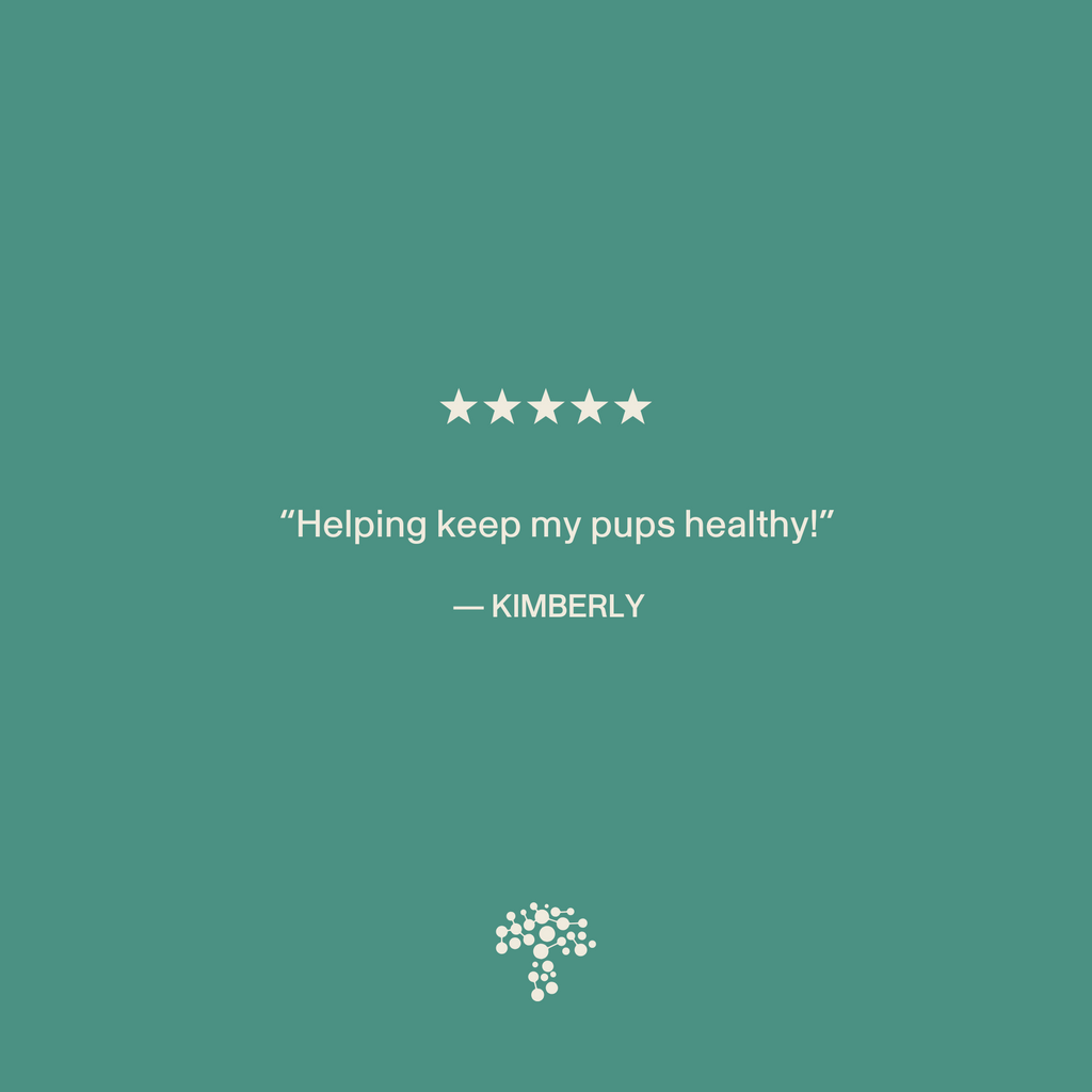 A five-star review from Kimberly reads, "Helping keep my pups healthy with immune support for pets!"—featuring Real Mushrooms Pet Defenders™ Organic Mushroom Blend Capsules for Pets on a teal background with a small tree logo below.