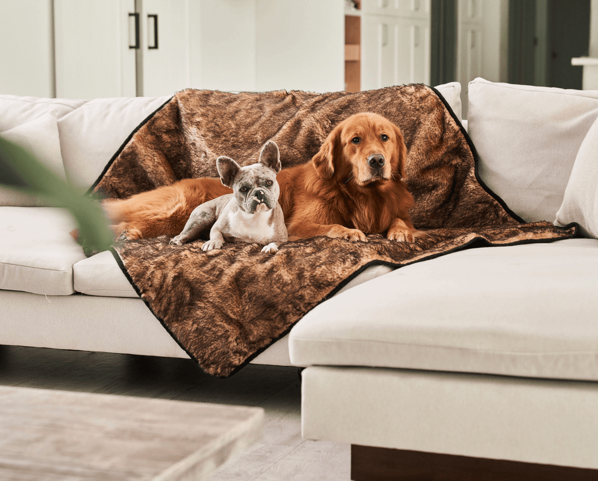 Waterproof Dog Blanket product image 1