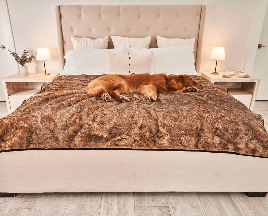 Waterproof Dog Blanket product image 2