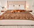 Waterproof Dog Blanket product image 2