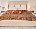 Waterproof Dog Blanket product image 2