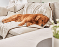 Waterproof Throw Blanket product image 1